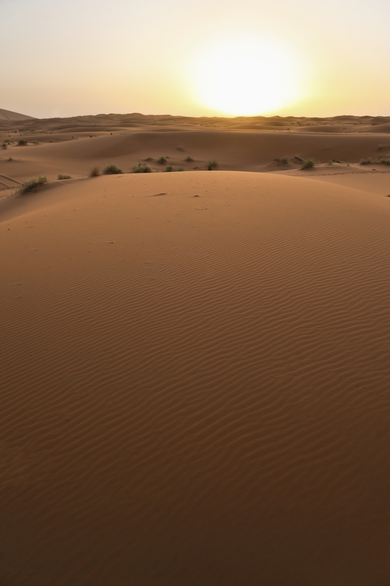 Erg Chebbi desert at sunrise, Sahara Desert near Merzouga, Morocco, North Africa, Africa, background
